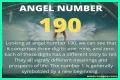 
ANGEL NUMBER 190
