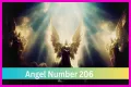 
ANGEL NUMBER 206
