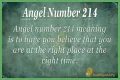 
ANGEL NUMBER 214
