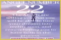 
ANGEL NUMBER 22
