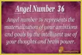 
ANGEL NUMBER 36
