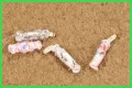 Case-bearing Clothes Moth, Vol. 9, No. 01