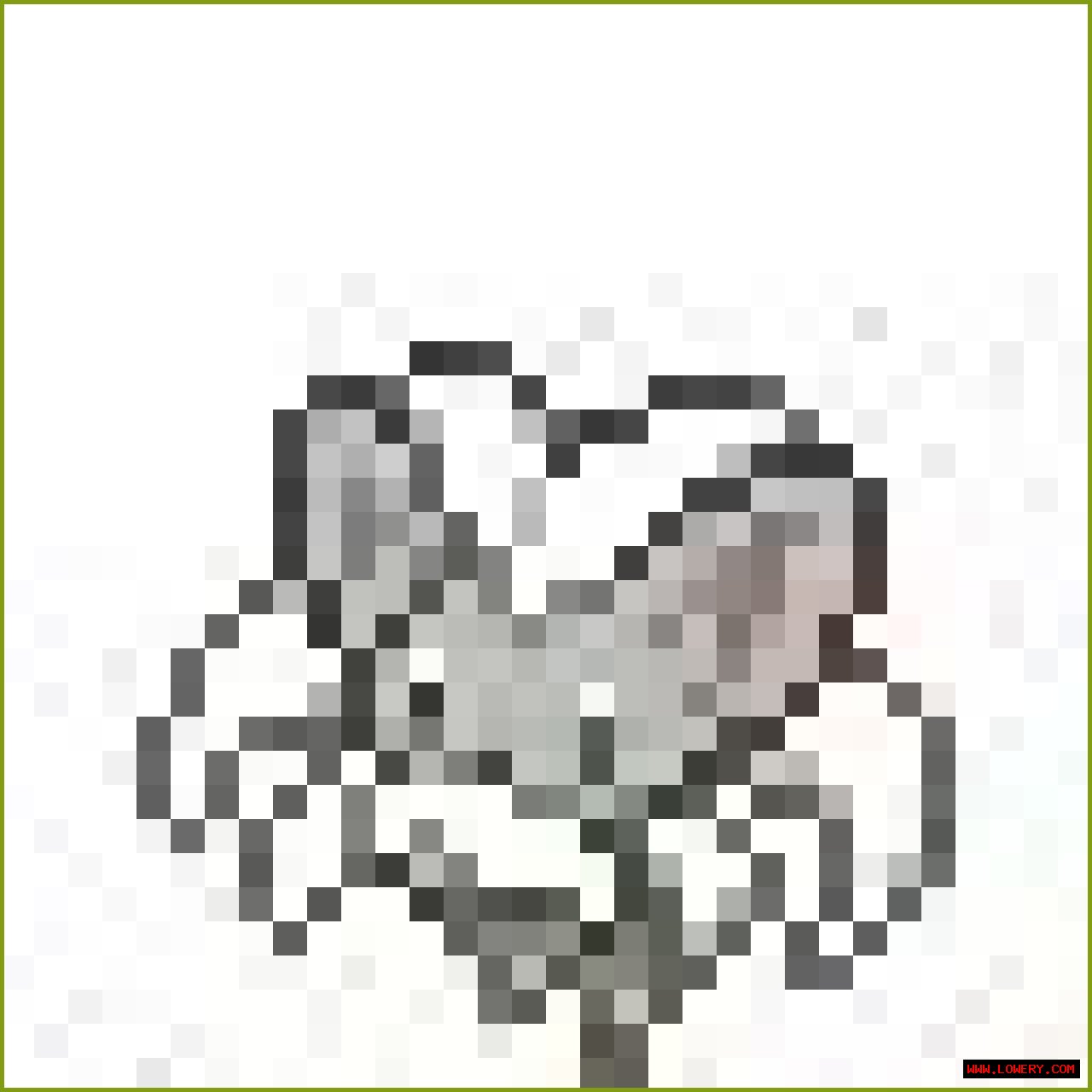 HTML