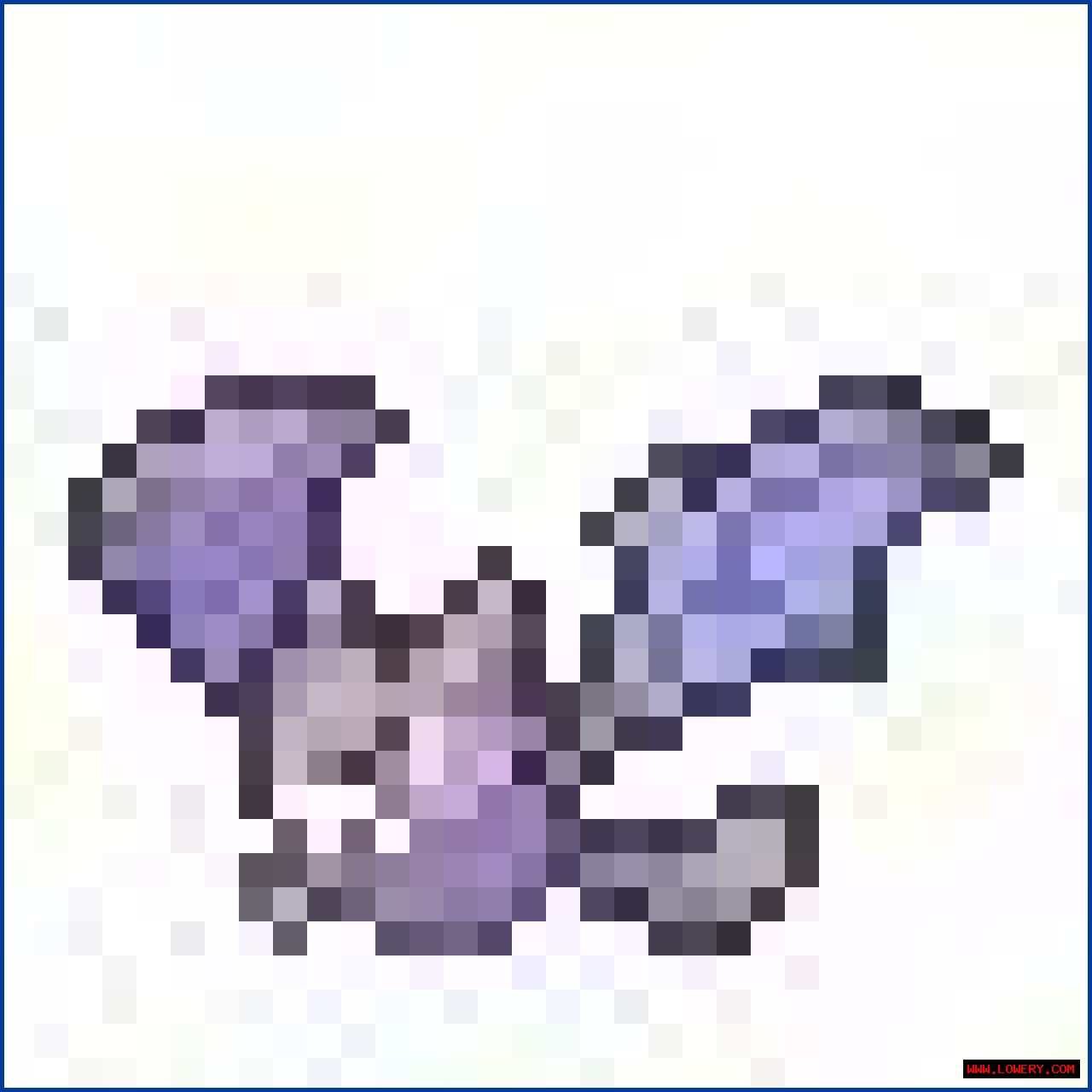 HTML