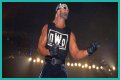 Hulk Hogan Was at His Meanest When He Vandalized the WCW World Heavyweight
Championship