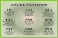 
Repeating Angel Numbers - 3's and 6's  (3366, 3636, 6633, 6363 etc)
