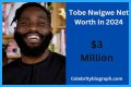 Tobe Nwigwe Height, Weight, Net Worth, Age, Birthday, Wikipedia, Who, Nationality, Biography