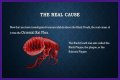 What Really Caused the Black Death: Anthrax or Celestial Bodies?